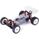 MINI BUGGY 2WD lc racing